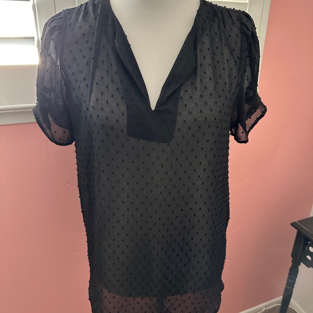 DR2 Black Sheer Blouse